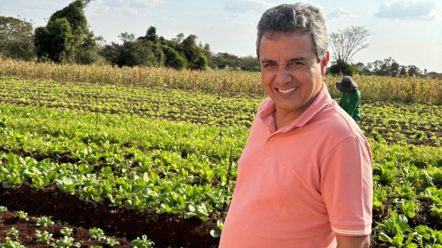 Cinturão verde é caminho para fortalecer agricultura familiar. Foto: Pedro Roque