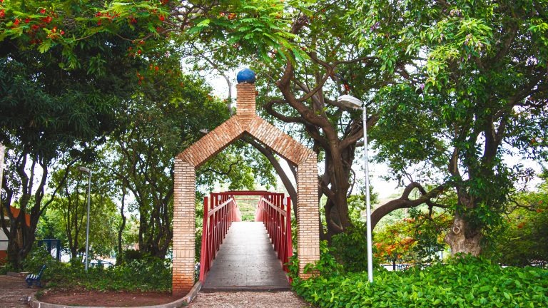 Horto Florestal de Campo Grande. Foto: Assessoria/PMCG